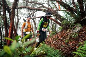 BIB: 
                            <button type="button" onclick="openModal(26298108)" class="btn btn-primary btn-sm float-right btn-popup" data-toggle="modal" data-target=".modal-high-quality">
                        <i class="fas fa-shopping-cart"></i> Add to Cart
                    </button>
                                            <button type="button" onclick="isThisMe(26298108, true)" class="btn btn-success btn-sm float-right btn-popup btn-isme hidden" data-toggle="tooltip" data-placement="bottom" title="นี่คือรูปของคุณใช่ไหม คลิกที่นี่เพื่อเอาเข้าอัลบั้ม">
                        <i class="fas fa-plus"></i> Add to album
                    </button>
                    <button type="button" onclick="isThisMe(26298108, false)" class="btn btn-warning btn-sm float-right btn-popup btn-isnotme hidden">
                        <i class="fas fa-ban"></i> Remove from album
                    </button>